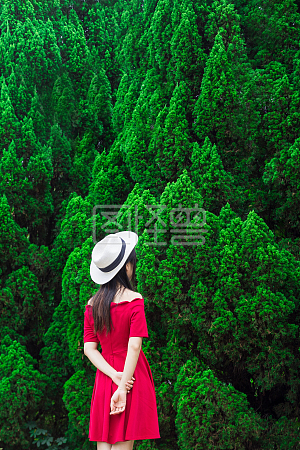 图怪兽原创元素绿色森林美女背影