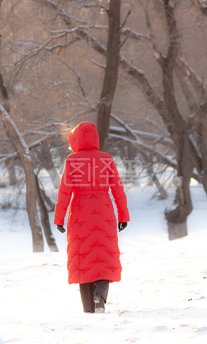 图怪兽原创元素摄影雪地红色背影