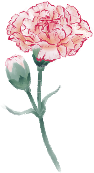 花水彩素材图片 免费花水彩png元素大全 图怪兽