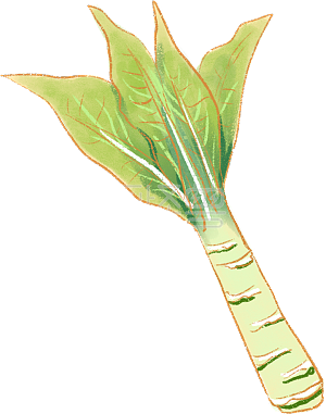 新年风俗美食绿色腊八蒜详情图怪兽原创元素       绿色    卡通