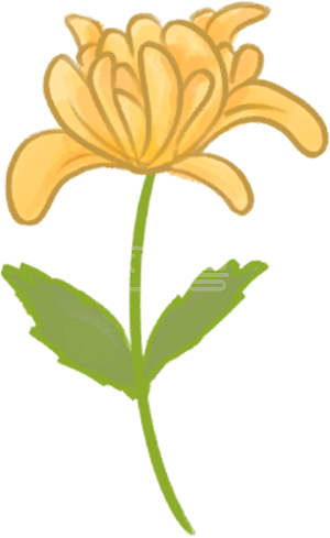 可爱花朵素材图片-免费可爱花朵png元素大全-图怪兽