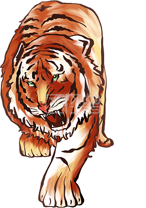 张牙舞爪小老虎