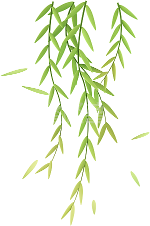 图怪兽原创元素c4d立体绿色卡通柳枝