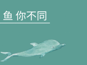 海豚gif卡通创意表情包