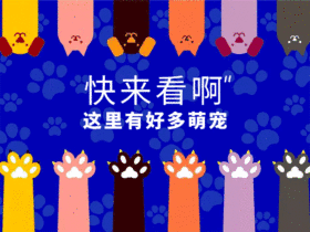 卡通手绘萌宠GIF动图模板