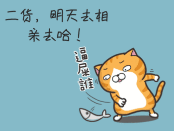 搞笑动态配图gif动图模板