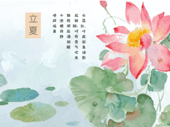 立夏节气动态gif模板