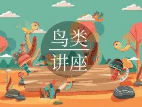 鸟类讲座新媒体GIF动图