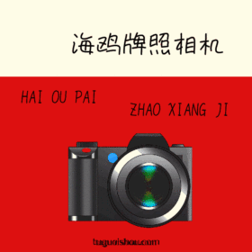 相机促销宣传怀旧复古GIF动图模板飞鸟