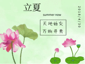 立夏GIF动图模板