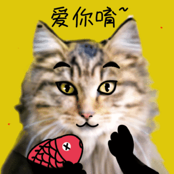 gif动图模板猫咪搞怪动态表情包