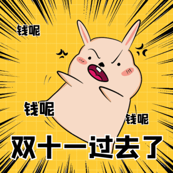 双十一钱都去哪了动态表情包