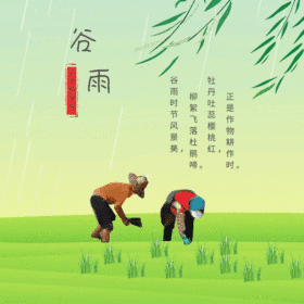 小清新绿色谷雨GIF动图模板