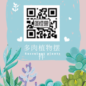GIF动图模板多肉植物摆件