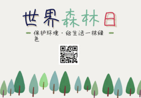 世界森林日动态关注二维码GIF动图模板
