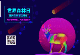 世界森林日动态关注二维码GIF动图模板