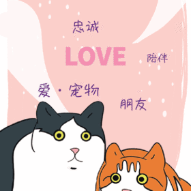 关爱宠物动态边框GIF模版