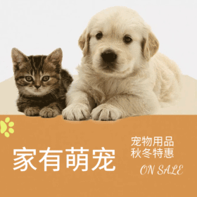 小狗宠物gif动态模板