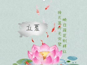 GIF动图模板