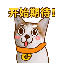 猫咪期待可爱萌宠开始期待gif表情包