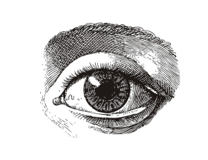 素描眼睛