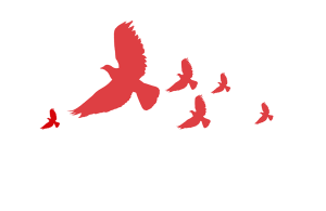 红色的鸽子过年氛围元素