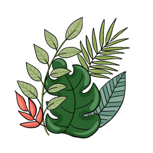 草 绿色植物