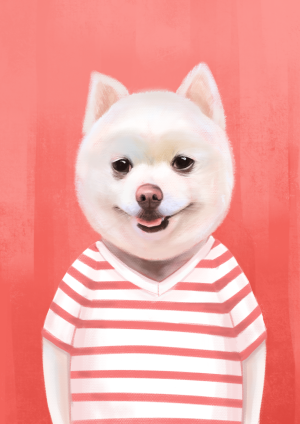 纯手绘人模狗样博美犬