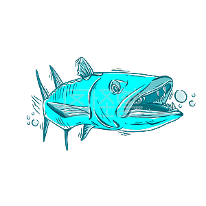 食人鱼简笔画png