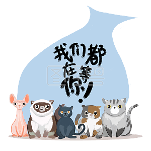 招聘招人宠物店兽医诊所可爱猫咪主子png图