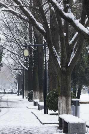 大雪后道路