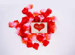 玫瑰花瓣与贺卡