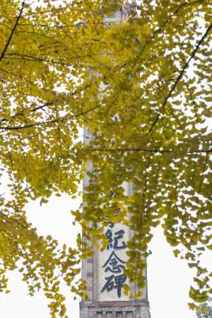 清明扫墓纪念先辈