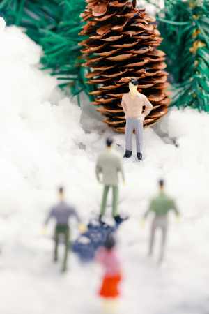 圣诞装置雪地里小人和大松果