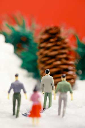圣诞装置雪地里小人和大松果
