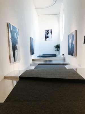展览