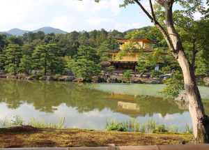 日本风景随拍