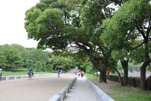 日本风景随拍