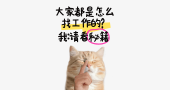 小红书爆款