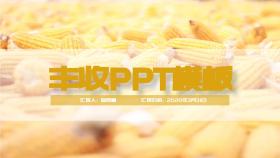 丰收PPT模板黄色简约商务PPT