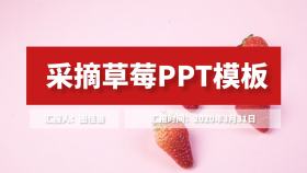 采摘草莓PPT模板红色商务PPT