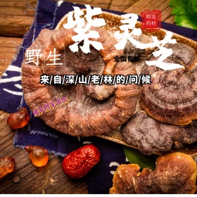 电商淘宝天猫食品特产野生灵芝主图直通车PSD模版淘宝主图