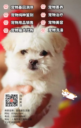 手绘狗狗卡通可爱宠物医院海报