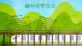 植物观察日记