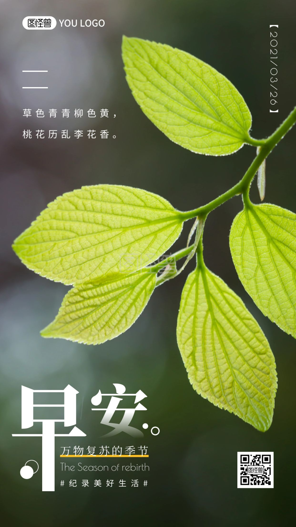 简约摄影早安问候励志治愈温暖唯美生活日签