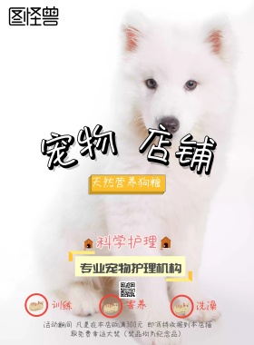 宠物海报店铺