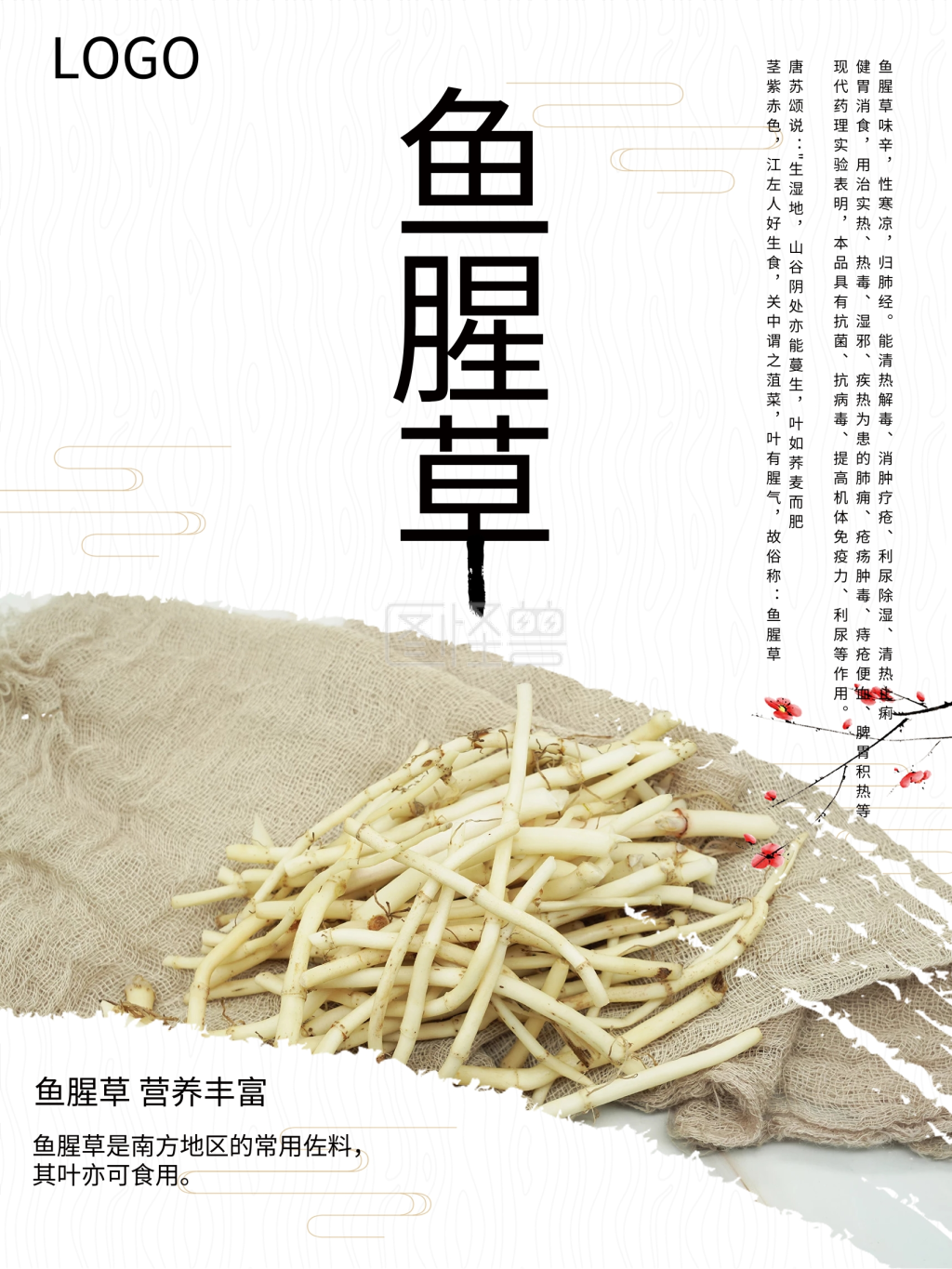 简约大气鱼腥草中药海报