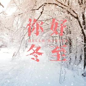简约清新冬至节气公众号配图