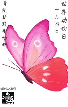 世界动物日手绘海报