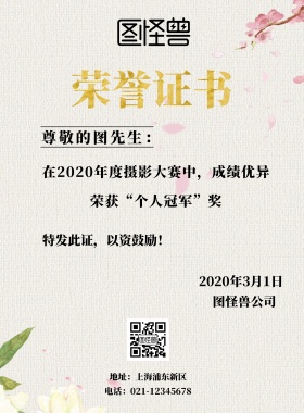 摄影比赛奖状印刷海报